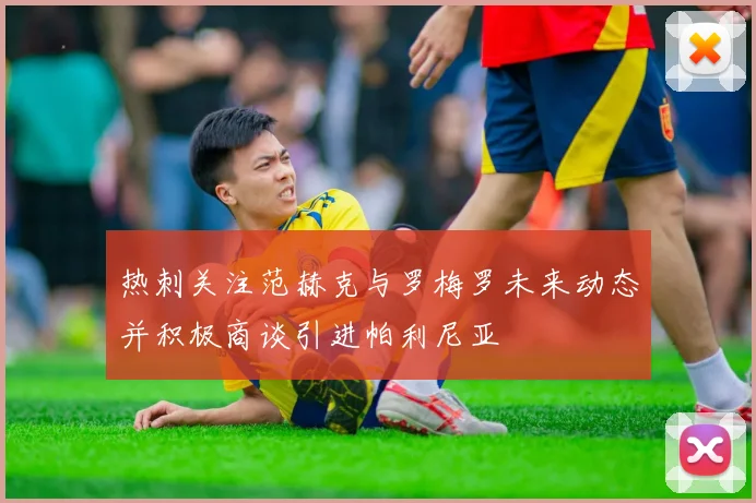 热刺关注范赫克与罗梅罗未来动态并积极商谈引进帕利尼亚