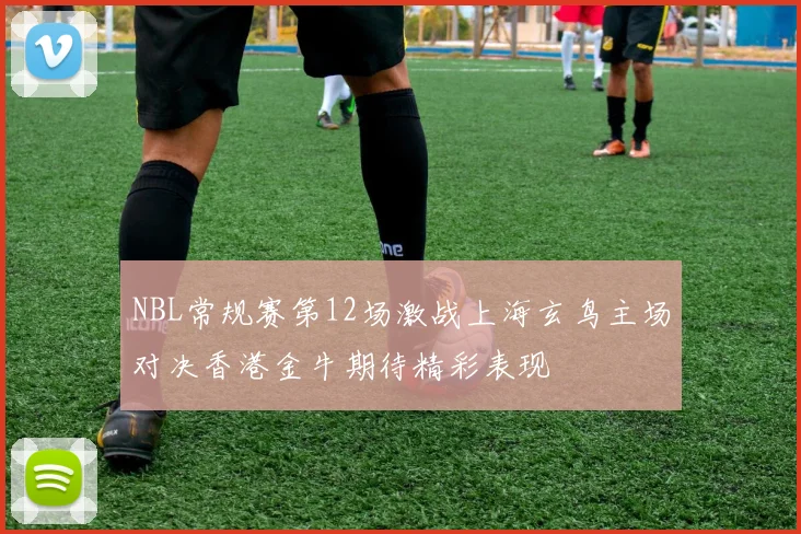 NBL常规赛第12场激战上海玄鸟主场对决香港金牛期待精彩表现